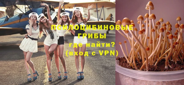 мескалин Гусь-Хрустальный