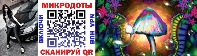 Купить  Павловск  Псилоцибиновые грибы Magic Shrooms 